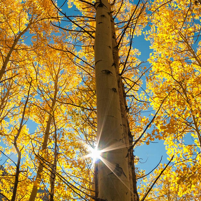 小阿诺〃 - 【另类说唱】Mc魏小然别忘了曾经