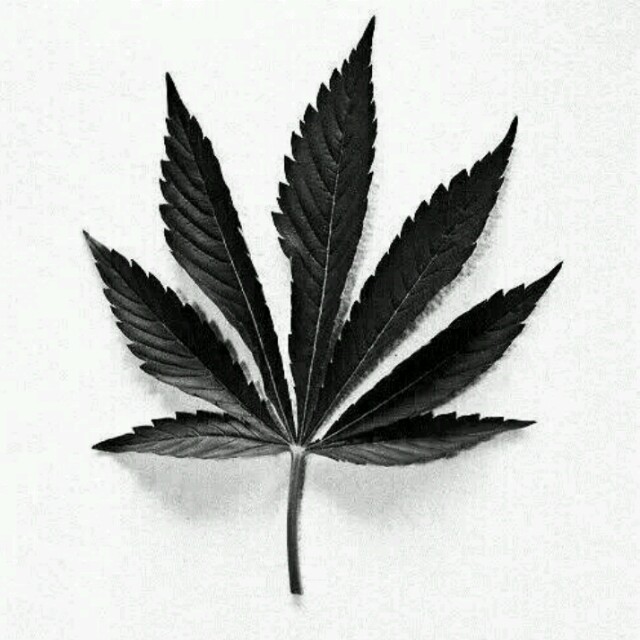 郝向阳-舒服好听的英文男生铃声收藏会员列表