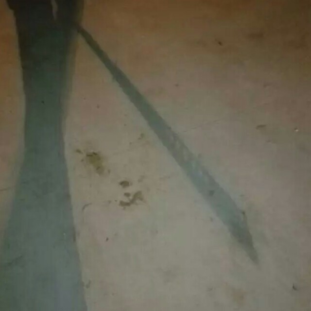 DJ晓坤-7妹 泰式摇摆 完整版收藏会员列表