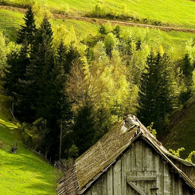 残念 -【中文抒情】你说你会怕冷,允许我亲吻你