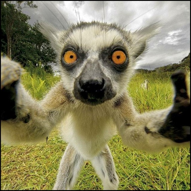 最新康纳步舞曲收藏会员列表