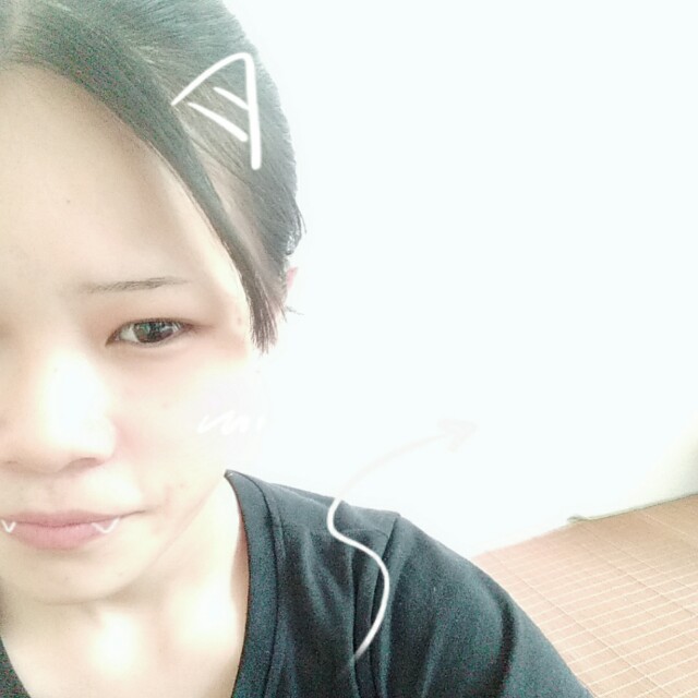 dj陈少る-千年等一回 - 小黄人版收藏会员列表