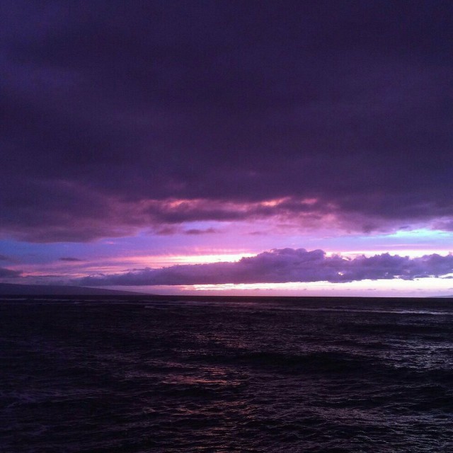 EA7-Music收藏会员列表