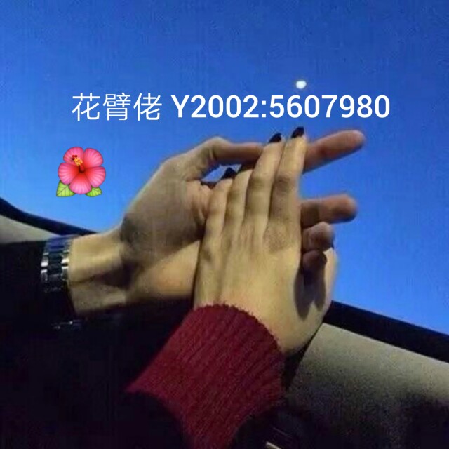 纯音乐 - 喜剧之王背景音乐收藏会员列表