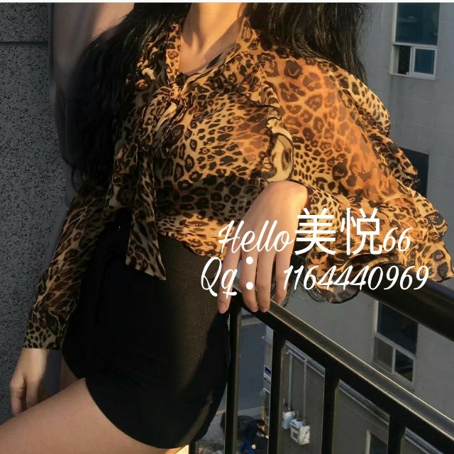 速七主题曲改版收藏会员列表