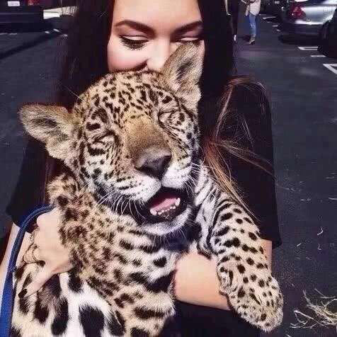 安然《网红曲》一入电音深似海 从此步伐不能