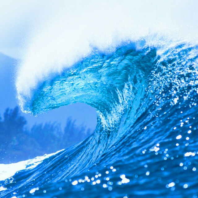 莫小七『中文咚鼓』落单恋人收藏会员列表