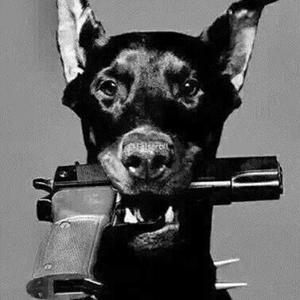 梦醒【抖音来袭】痴情玫瑰花收藏会员列表