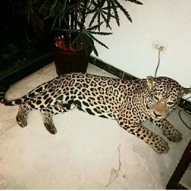 敏妹儿ゞ - [另类说唱] 回想和你那三年收藏会员