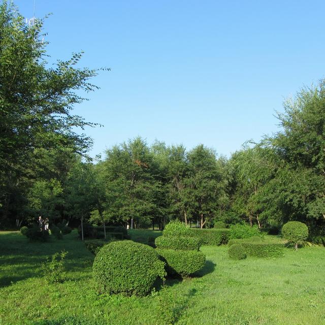 广场舞曲 爱情雨夹雪 苏小花 舞曲编辑:向东收藏