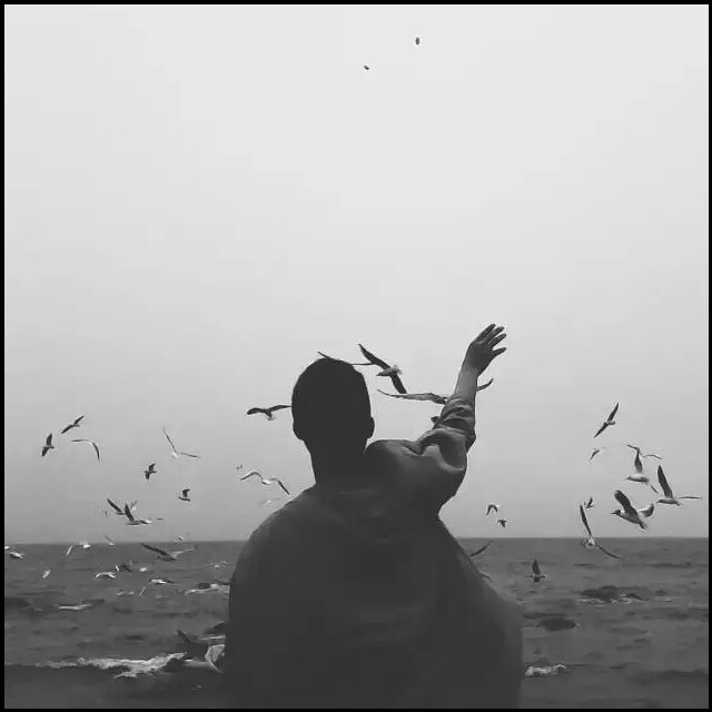 【超好听的英文铃声】收藏会员列表