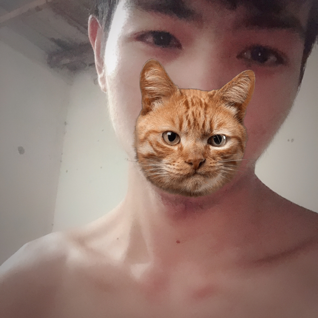 渴死的鱼-DJ小可收藏会员列表