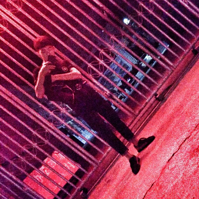 再也没有-杨佬叁收藏会员列表