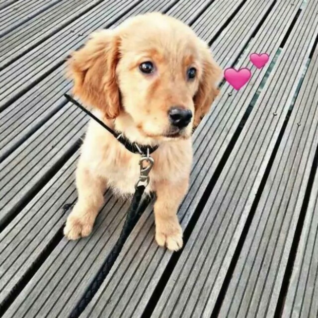 让你对我说我爱你很难吗收藏会员列表