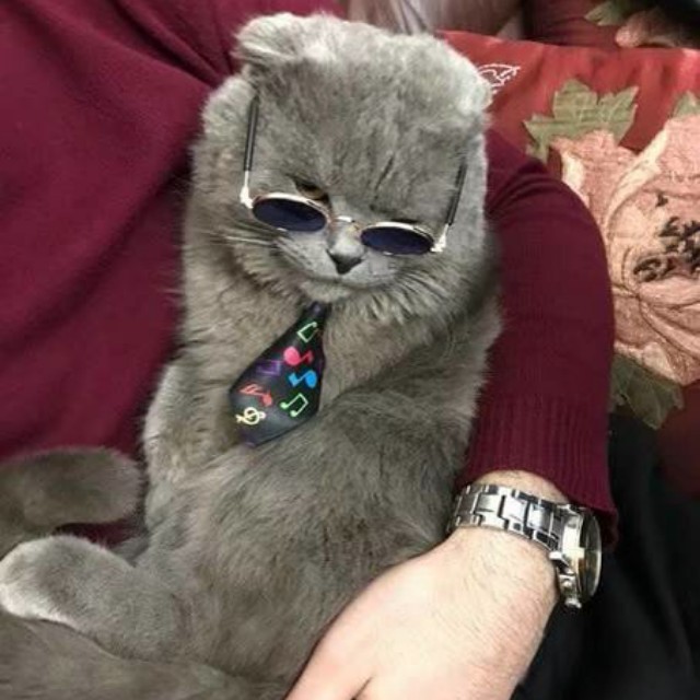 宁夏浪坤【死神送葬者】 不朽传奇出场音乐收