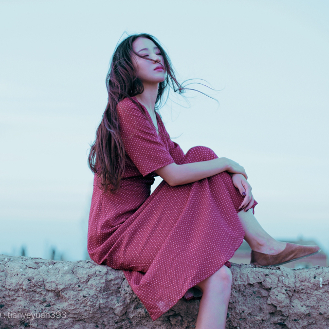 【车载专属CD】 经典全中文伤感情歌男女CL