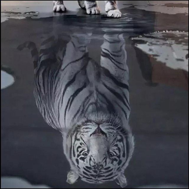 安然环绕-【抖音-脑瓜疼】你们从来没有听过的