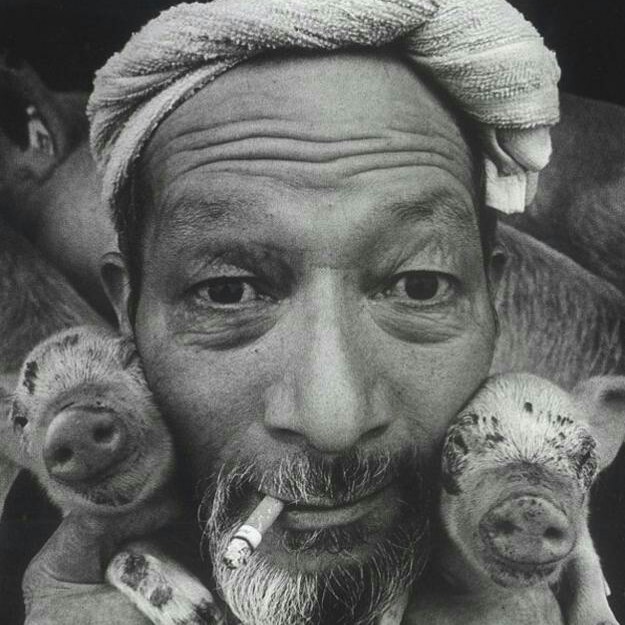 秦有道 - 纯音乐环绕(雨的印记)收藏会员列表