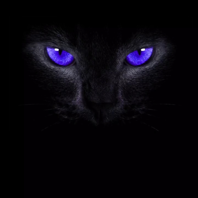 托马斯-【抖音】英文极品电音(拜了否冷)收藏会