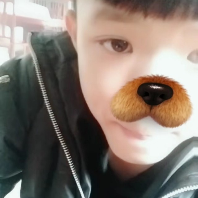 dj陈少る-灌阳歌之黄关大雁上收藏会员列表