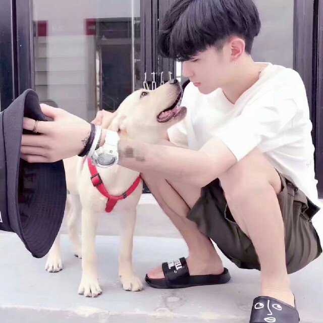 〖猫七〗【后来大合唱】后来收藏会员列表