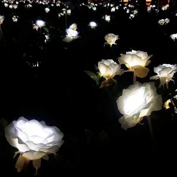 江涛 - 生日礼物 - DJ馨明版收藏会员列表