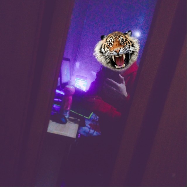 青铜 - Ea7 卖了佛冷 【快手神曲】收藏会员列