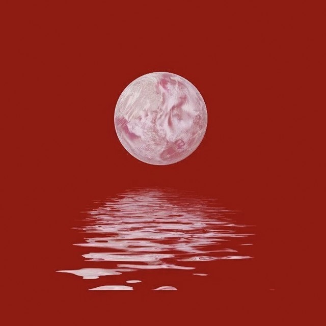 我曾【隔壁老樊】收藏会员列表