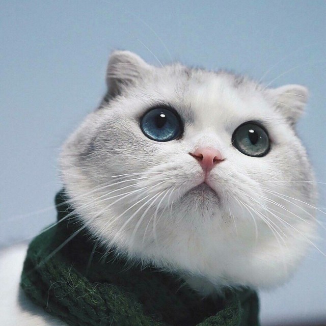 小阿凯不要对我说再见,你却再见收藏会员列表