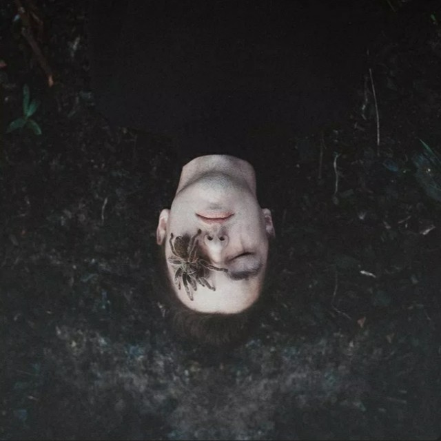 终于知道爱都有翅膀怎么拥抱它终究要飞翔.【