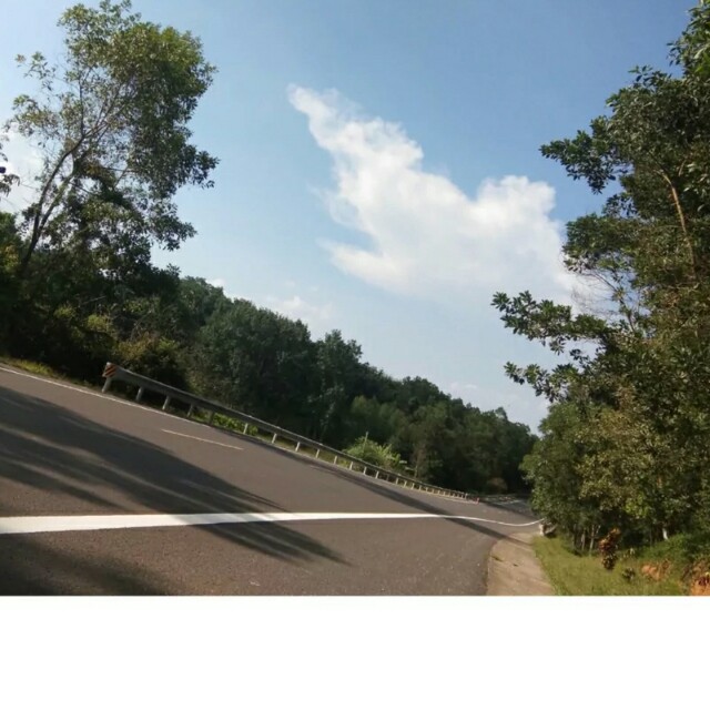 追光者(英文版)海口dj小鬼哥哥改收藏会员列表