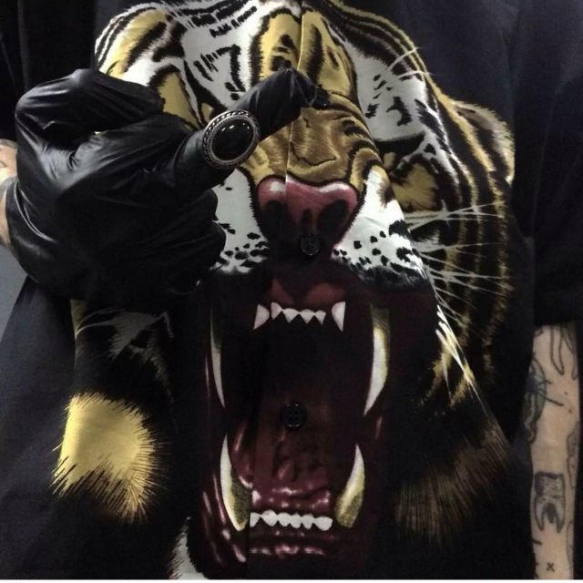 猫先生 .大哥大哥欢迎你 欢迎你来我这里收藏会