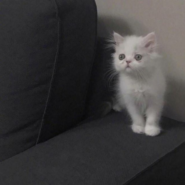 铃声-不染.抖音欢快版收藏会员列表