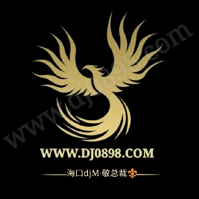 电子琴花桥流水 (DJ版)