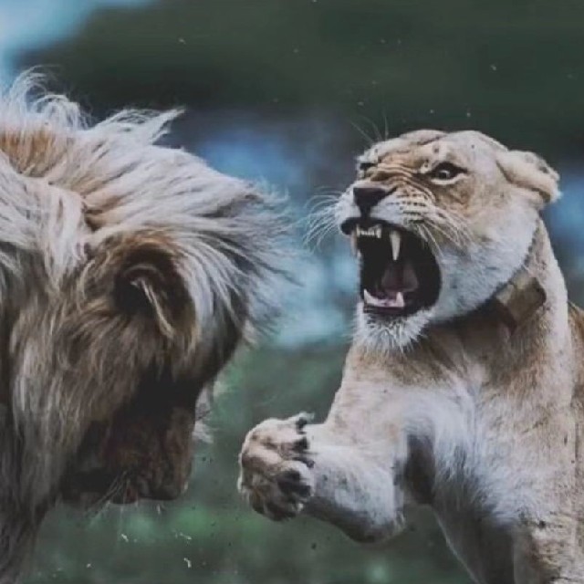 哪吒六太子---_欢喜就好dj收藏会员列表