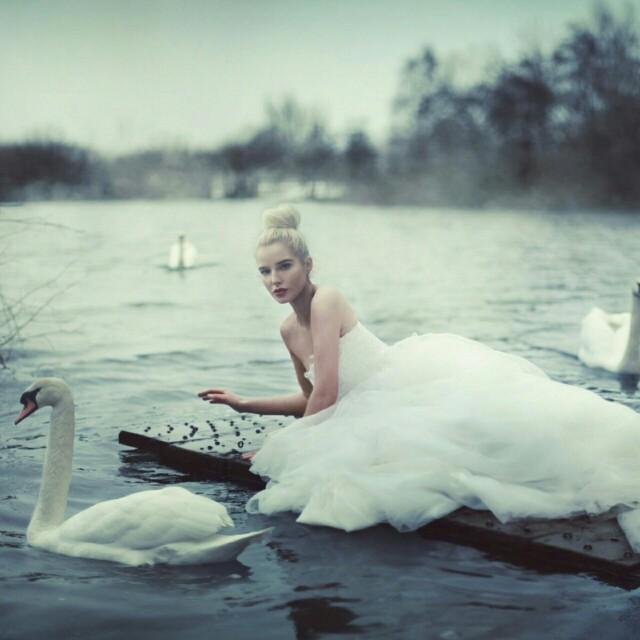 归-龙井说唱-509065收藏会员列表