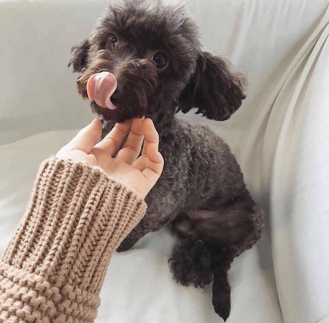 秦有道 - 【双声道】- 不错的英文歌收藏会员列