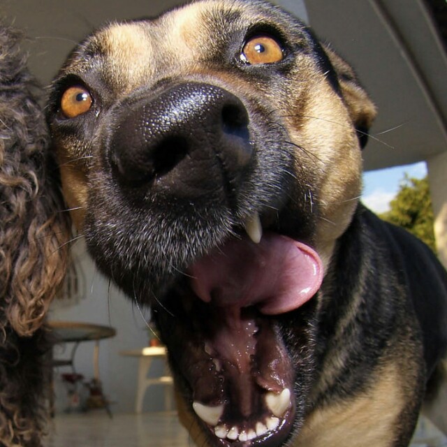 不泽空坤※ 网红,牌牌琦 小伊伊 专用曲!收藏会