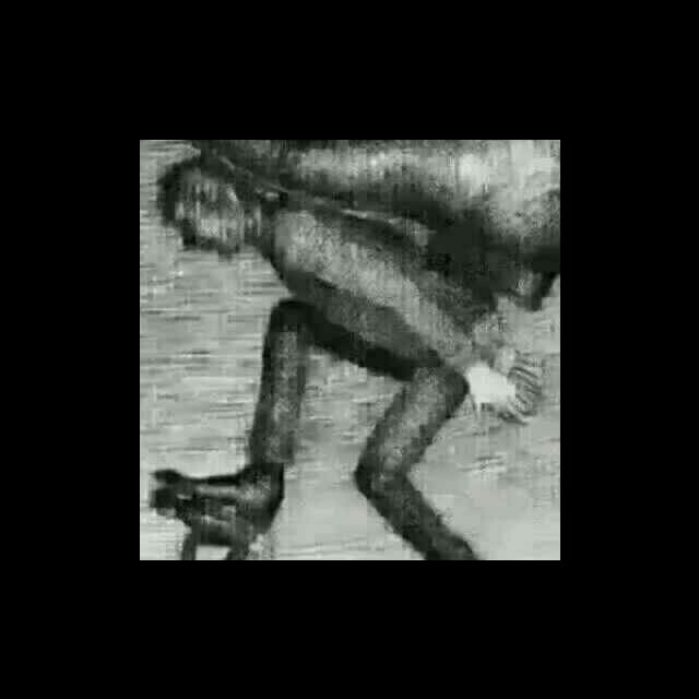 【扎心语录】混社会为了啥-收藏会员列表