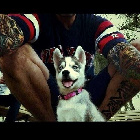 快手上很火的英文歌-郭志辉收藏会员列表