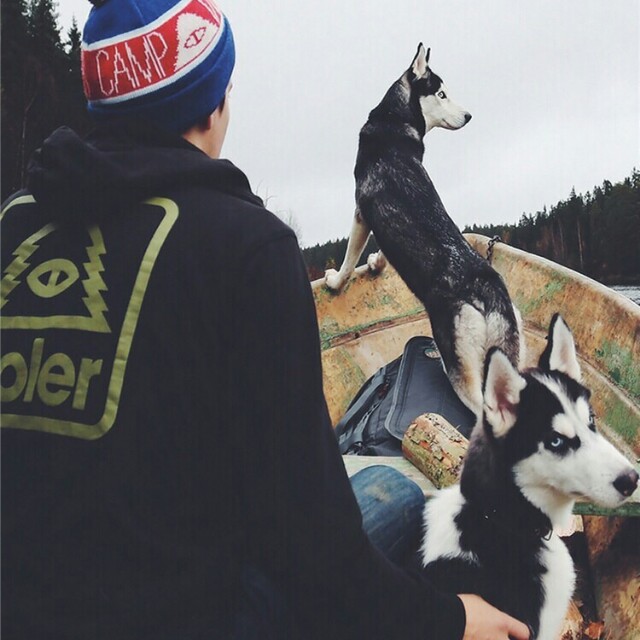 DJ舞曲-凤舞九天开场曲收藏会员列表