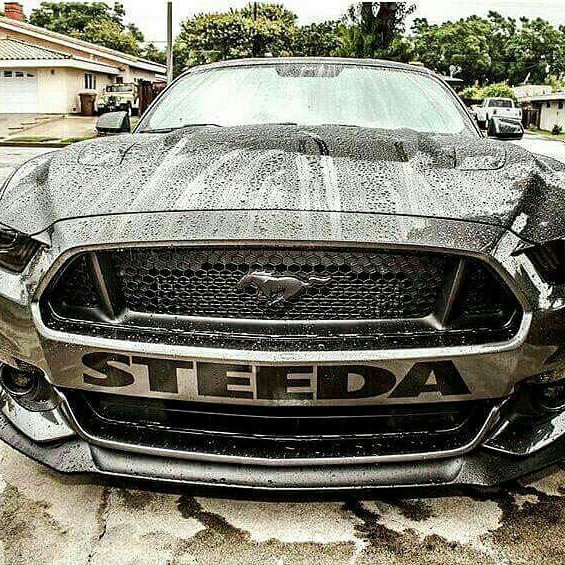 白一阳【网络红曲咚鼓】其实什么都没有收藏会