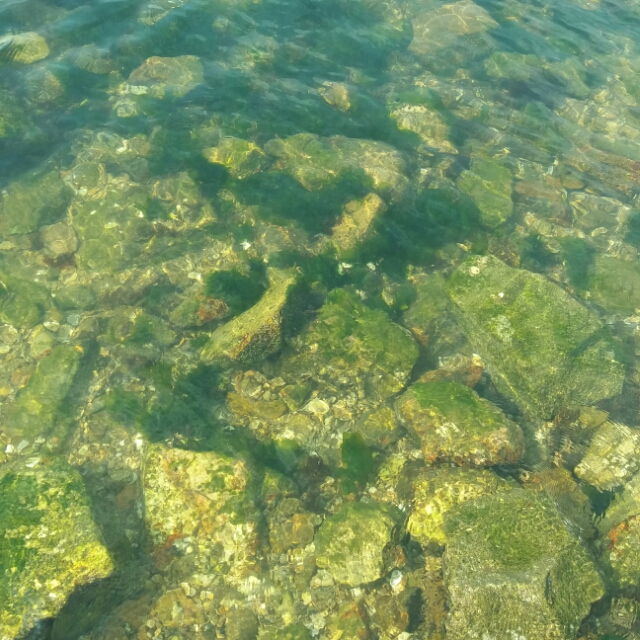 白一阳【网络红曲咚鼓】在人间有谁活着不像是