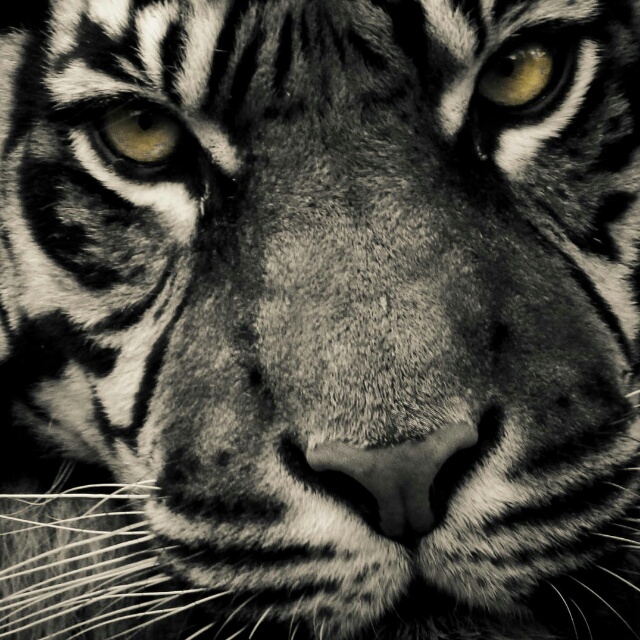 李荣浩 - 出卖收藏会员列表