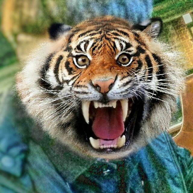 陈国并【社会语录】先穿袜子再穿鞋先当孙子再