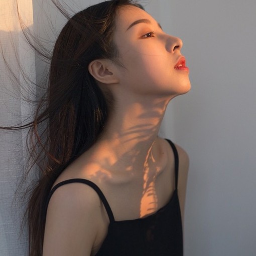 猫 [电音] 前奏控秒跪系列收藏会员列表