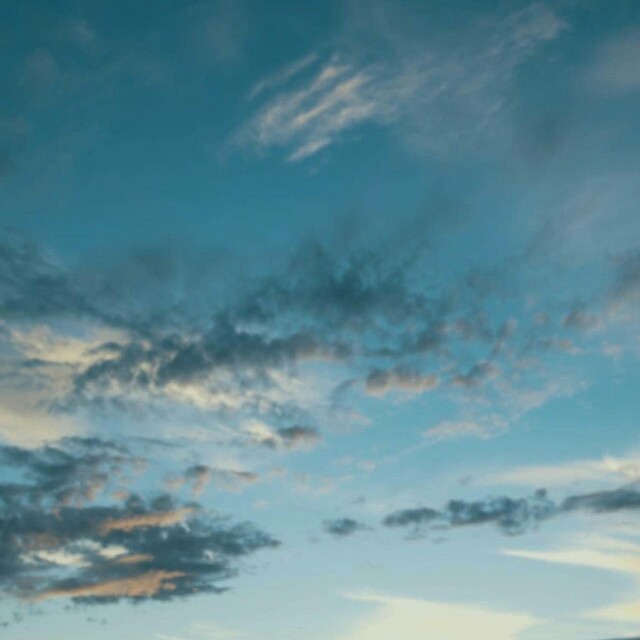 dj啊所红尘来去一场梦咚鼓收藏会员列表