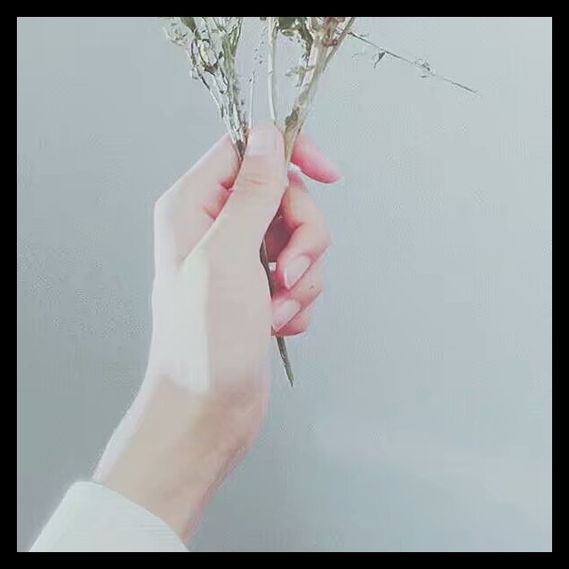 好听歌曲 文爱_[老友]收藏会员列表