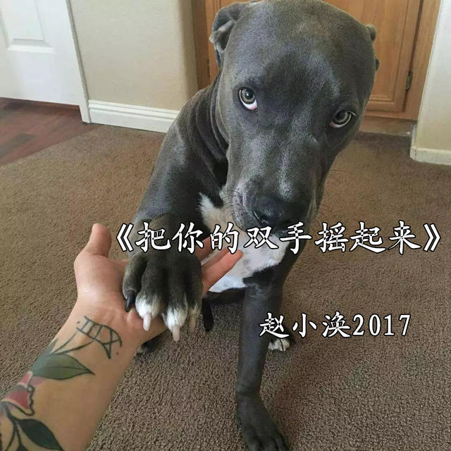 顾晨木-你曾说过会永远爱我.收藏会员列表