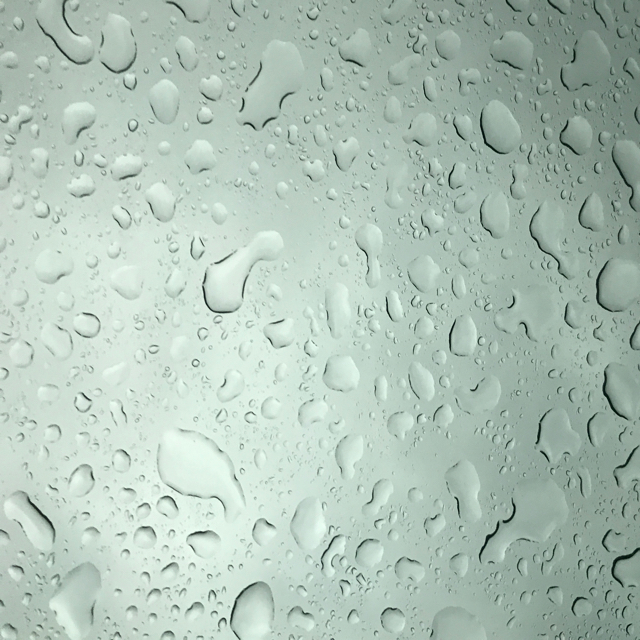 尽头-赵方婧收藏会员列表